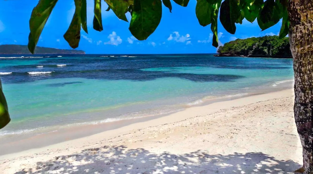 Jasmine La Playita - Ocean Front Apartment Las Galeras