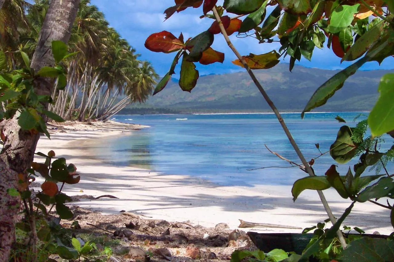 Jasmine La Playita - Ocean Front Apartment Las Galeras