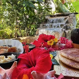 4* Bed & Breakfast Tropical Bio-hotel
